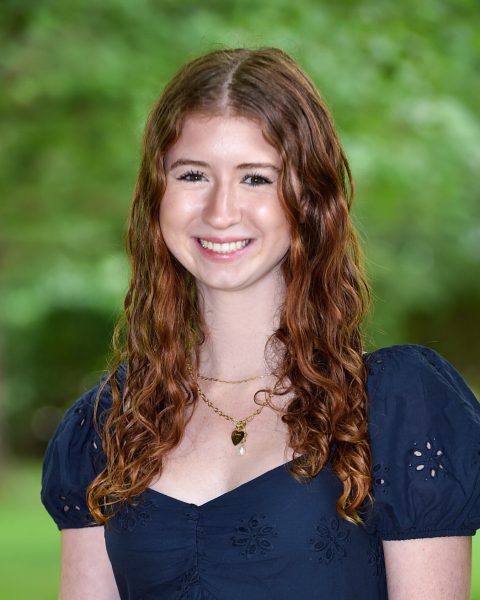 Allison Palmer
