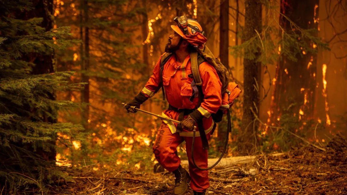 Frontlines Without Freedom: The Prisoners Protecting Los Angeles from Wildfires