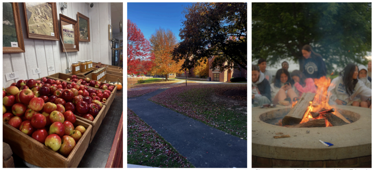Photos courtesy Elly Ouellette and Maya Takanabe